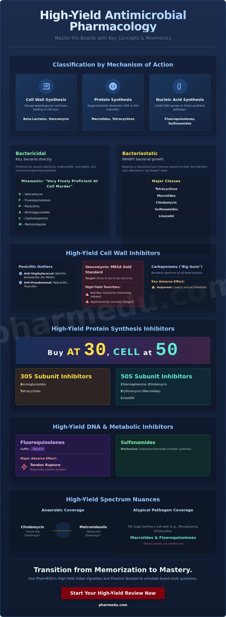 Antimicrobial Pharmacology High Yield: The 2026 Board Review Guide
