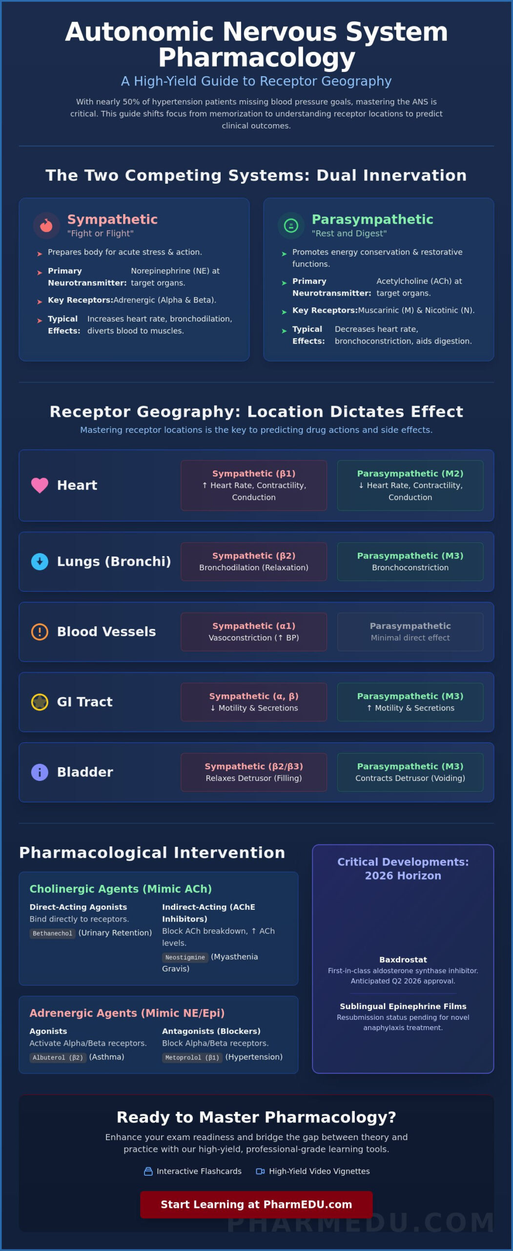 Autonomic Nervous System Pharmacology Review: High-Yield Guide for 2026