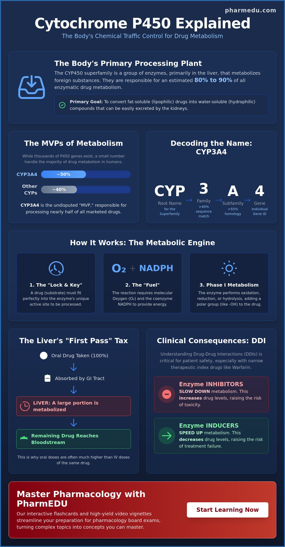 Cytochrome P450 Explained Simply: A High-Yield Guide for Healthcare Students (2026)