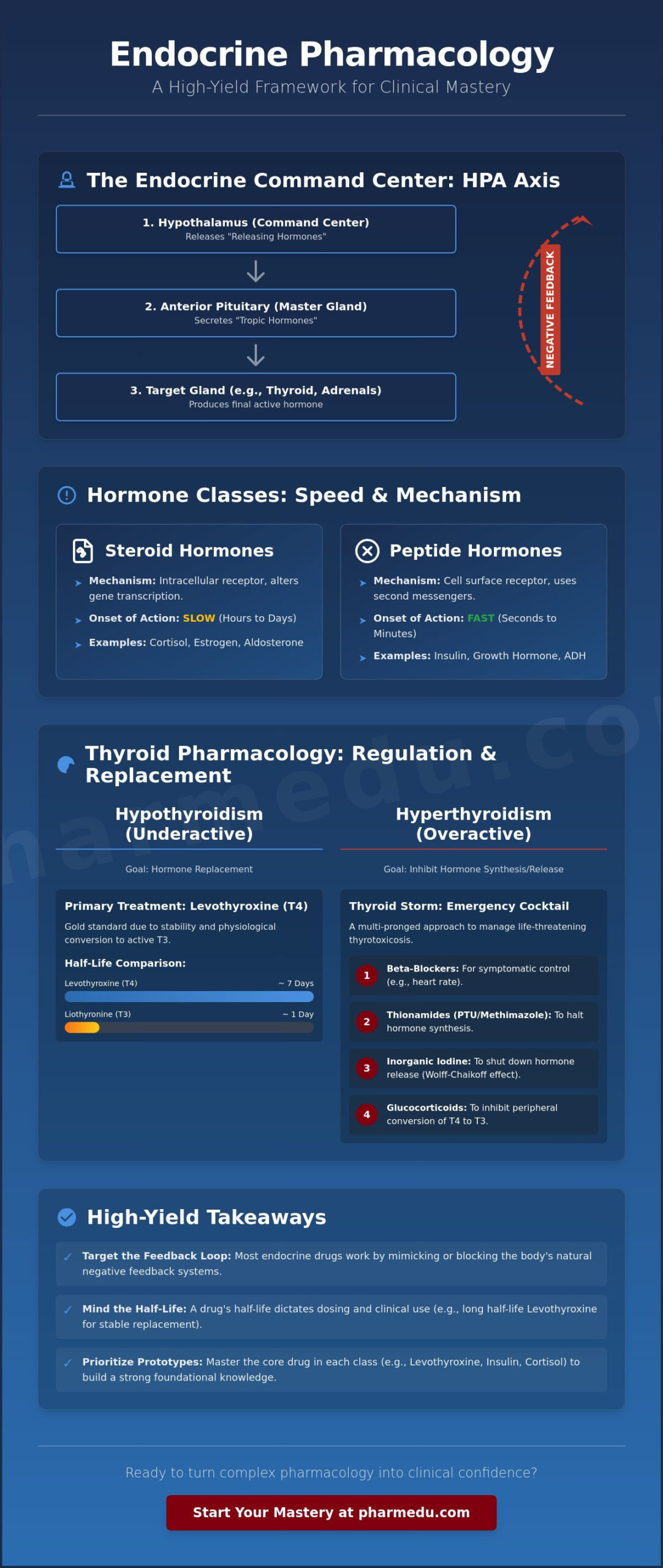 Endocrine Pharmacology Study Guide: High-Yield Review for Boards and Clinical Practice