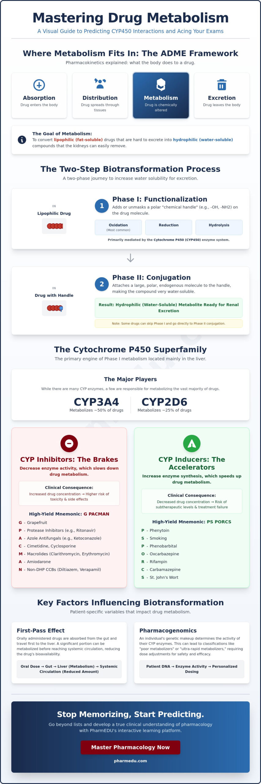 How to Understand Drug Metabolism: A High-Yield Guide for Students