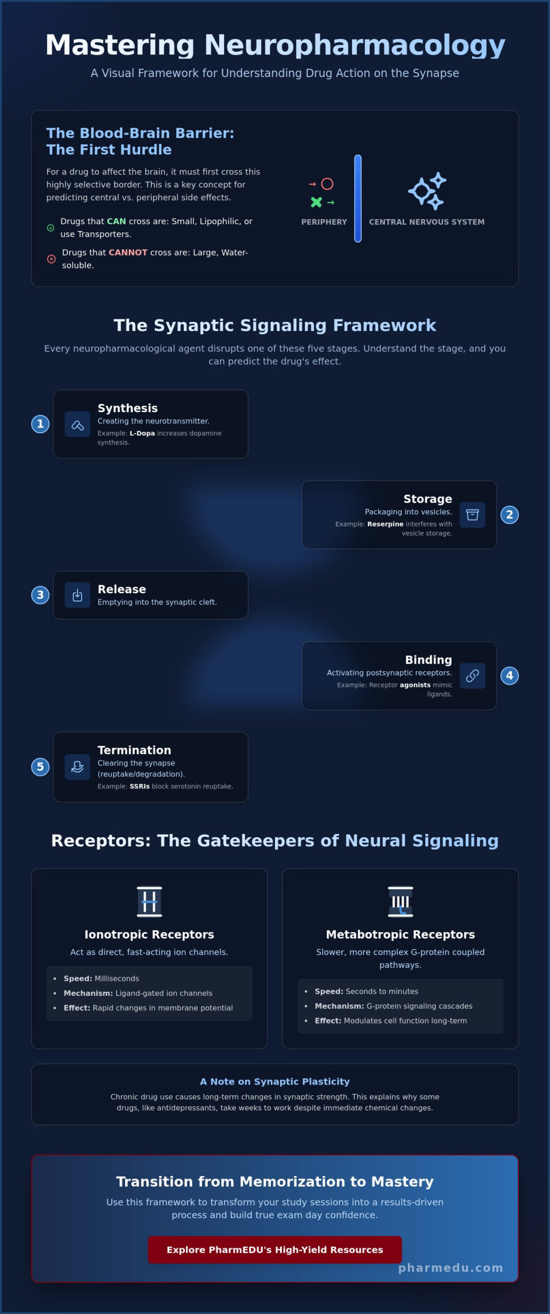 Mastering Neuropharmacology Concepts for Exams: A High-Yield Guide for 2026