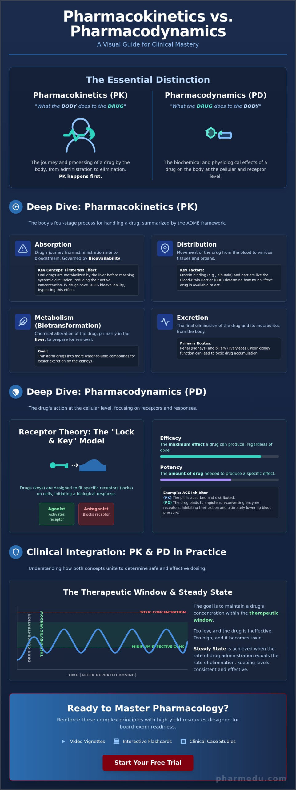 Pharmacokinetics vs Pharmacodynamics for Students: The High-Yield Guide