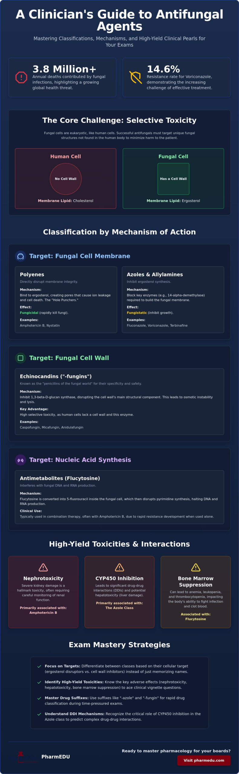 Antifungal Agents Study Guide: High-Yield Pharmacology for 2026