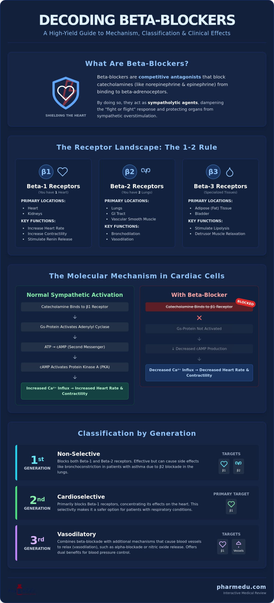 Beta-Blockers Mechanism of Action: A High-Yield Pharmacology Guide for 2026