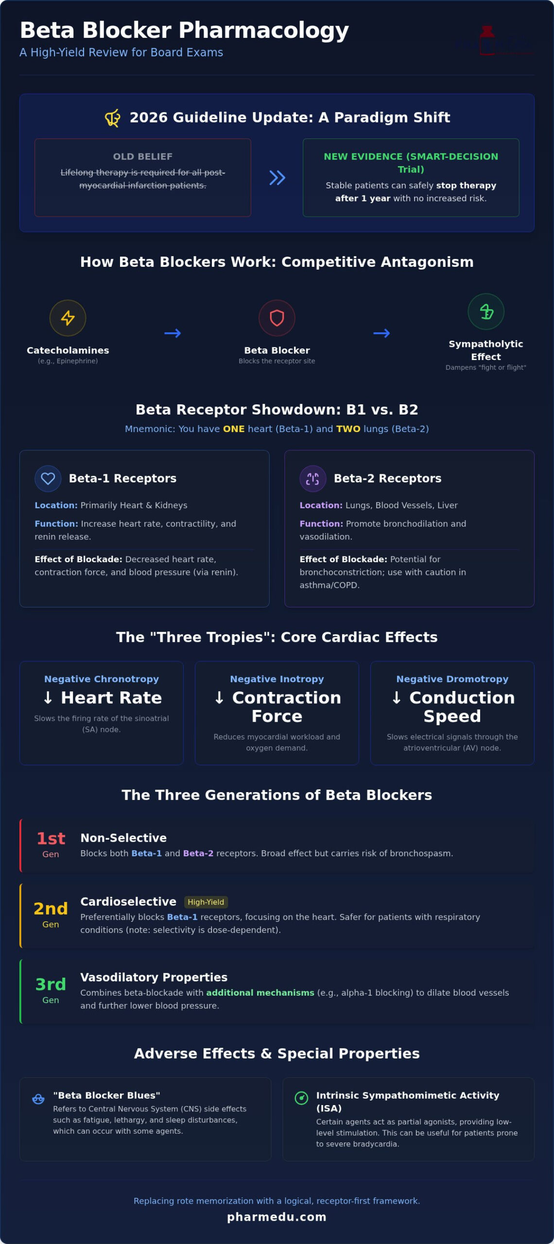 Beta Blockers Pharmacology: High-Yield Guide (2026)