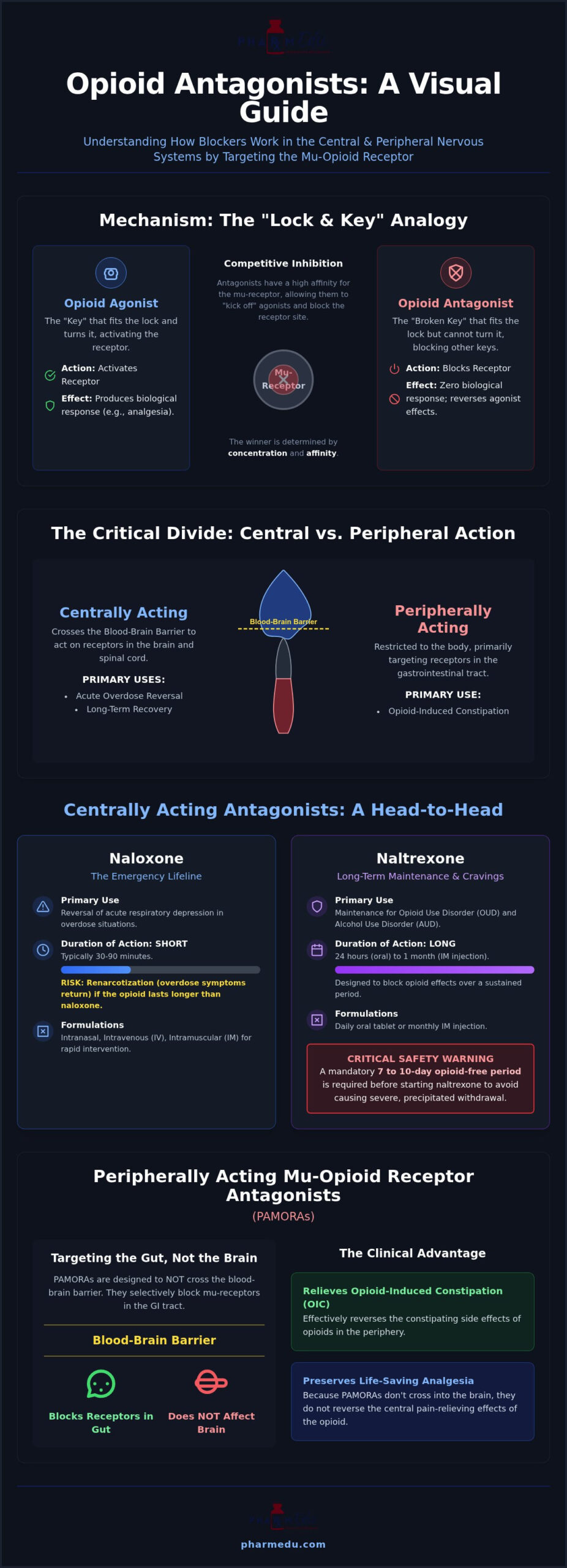 Opioid Antagonists Pharmacology: The High-Yield Student Guide (2026)