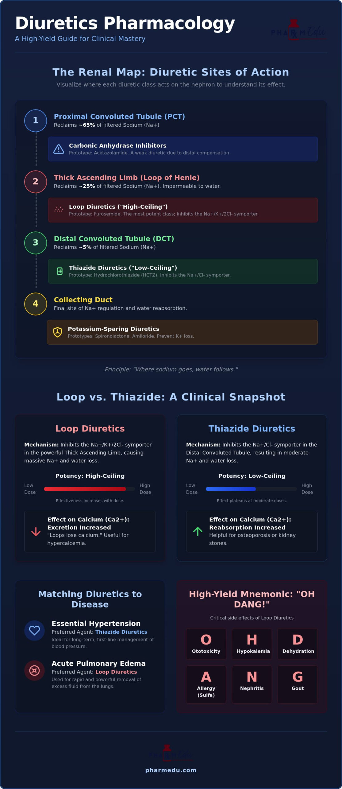 Diuretics Pharmacology: High-Yield Review for Healthcare Students (2026)