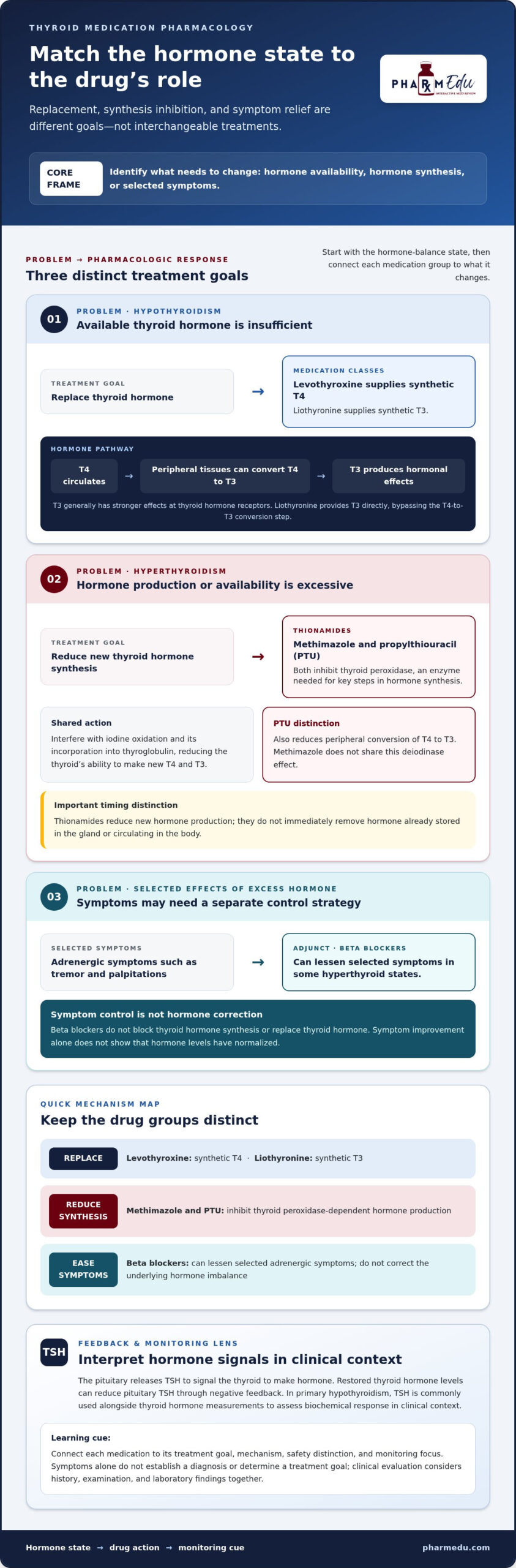 Thyroid Medication Pharmacology: Mechanisms, Uses, and Monitoring